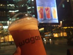 -Wagas沃歌斯(环贸店)