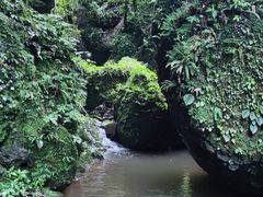 -青城山