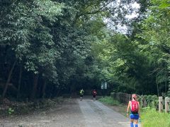 -上海佘山国家森林公园西佘山园