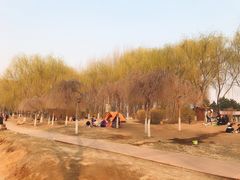-丁香湖公园