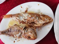 -蛇口康乐快餐鱼仔档(翠苑小区店)