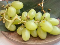 -龟兹KUCINA·新疆菜(前滩L+PLAZA店)