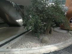-上海市宝兴殡仪馆