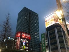 -秋叶原电器街