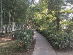 -包公祠