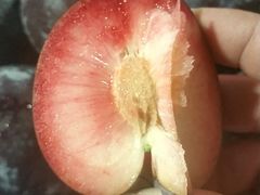 -菜园坝水果市场