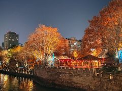 -运河游船(武林门码头)