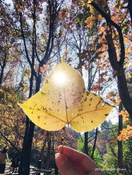 -中国科学院昆明植物研究所植物医生研发中心产品体验馆