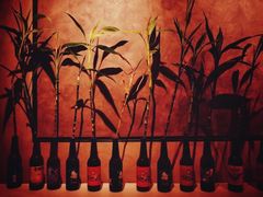 -77啤妹精酿生活馆(前门店)