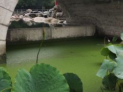 -莲湖公园