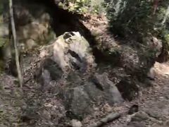 -四明山国家森林公园