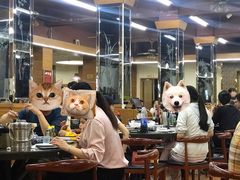 大堂-张氏父子常德肠子馆(红星总店)