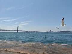 -星海广场