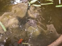 -颐朵佳宴(金丰商业广场店)