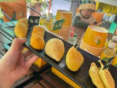 -榴莲BB 四季果园