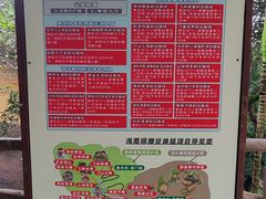 -海南槟榔谷黎苗文化旅游区