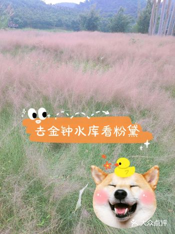 可惜没有全开而且也只能远望