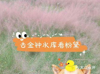 可惜没有全开而且也只能远望