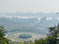 -八卦田遗址公园