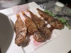 -新白鹿餐厅(松江开元地中海店)