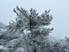 -沂蒙山旅游区龟蒙景区