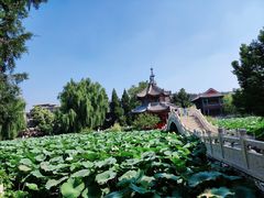 -莲池书院博物馆