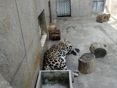 -西安秦岭野生动物园