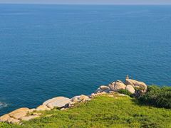 -放鸡岛生态旅游国际度假区