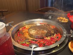 -李掌柜鲜菜火锅(移民广场店)