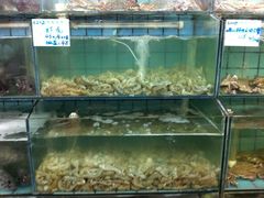 -海岛渔村大酒店(云霄路店)