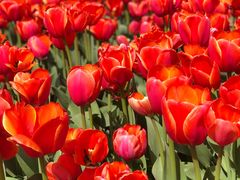 -玄武湖景区-情侣园游乐场