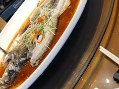 -丹江渔村(望京店)