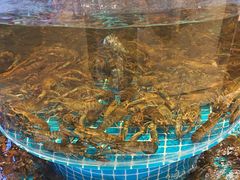 -蓝珊甄选海鲜自助·火锅大排档(近阿那亚店)