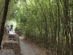 -云龙湖旅游景区