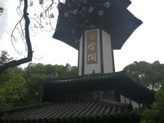 -上海佘山国家森林公园天马山园