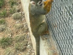 -石家庄市动物园