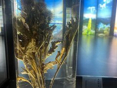 -广东中医药博物馆