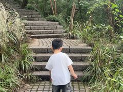 -紫金山山顶公园
