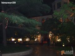 夜晚的花园-上海安亭别墅花园酒店