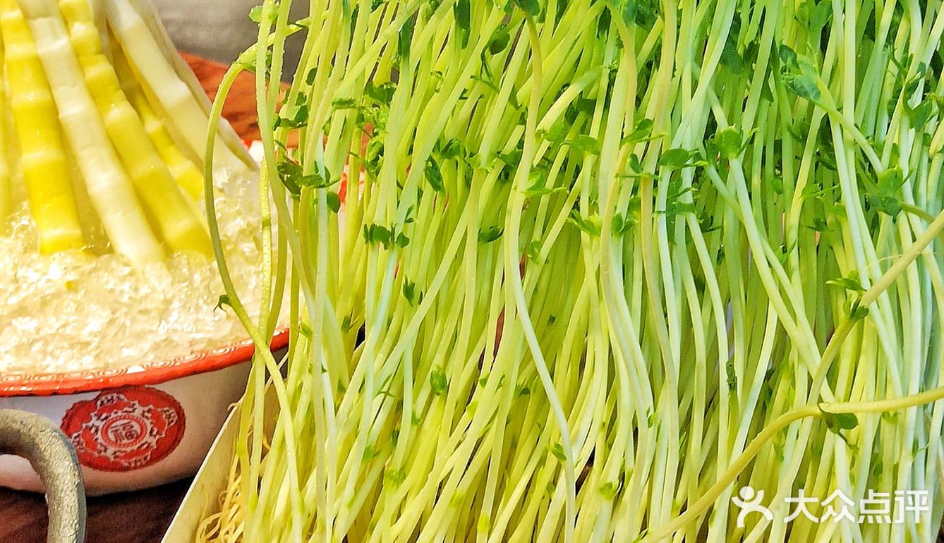  春天来吃现摘豆苗啦🌱长沙地道重庆火锅