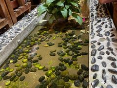 -丽江庭院之爱在路上(西单店)