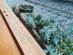 -YLK云南小粒咖啡·云里咖(二号店)