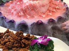 -美宁肥牛(旗舰店)