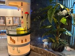 -陆琴脚艺·足浴·SPA(夫子庙店)