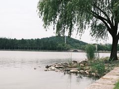 -上海月湖雕塑公园