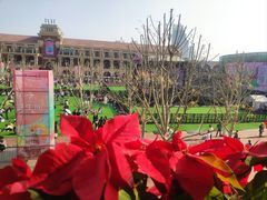 -天津五大道文化旅游区