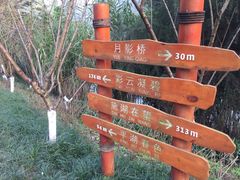 -重庆彩云湖湿地公园