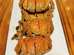 -呼吸森林·生态农庄农家乐私房菜