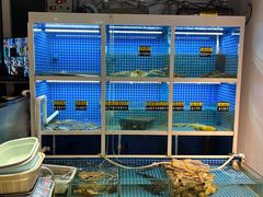 -金龙·打边炉(南京西路店)