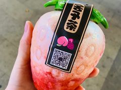 -舍予茶(桂林路店)